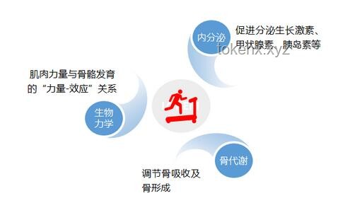 幼儿园跳绳训练新趋势：简单易懂的指导策略助力孩子快速掌握